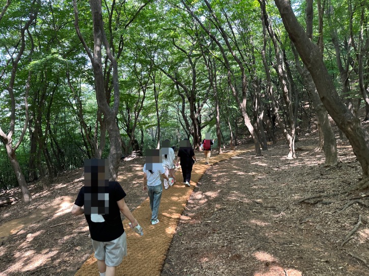 모자이크처리 (3).jpg